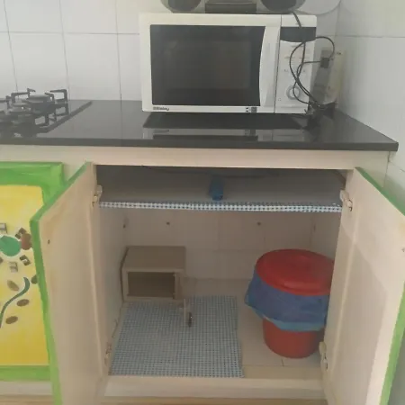 3 Palmeras De