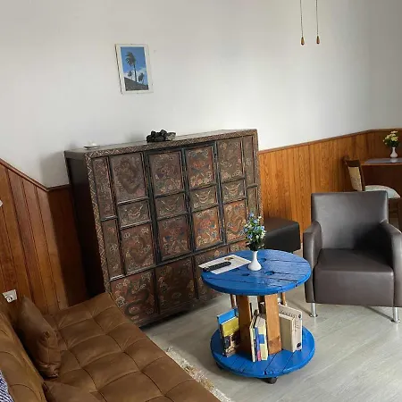 3 Palmeras De * Arrecife