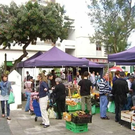 3 Palmeras De Arrecife