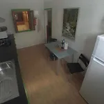 3 Palmeras De Arrecife (Lanzarote)