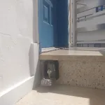 3 Palmeras De Casa vacanze Arrecife (Lanzarote)