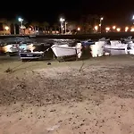 3 Palmeras De * Arrecife (Lanzarote)